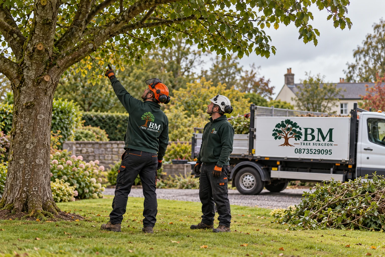 Crown thinning and lifting in Carrick-on-Shannon, Co. Leitrim