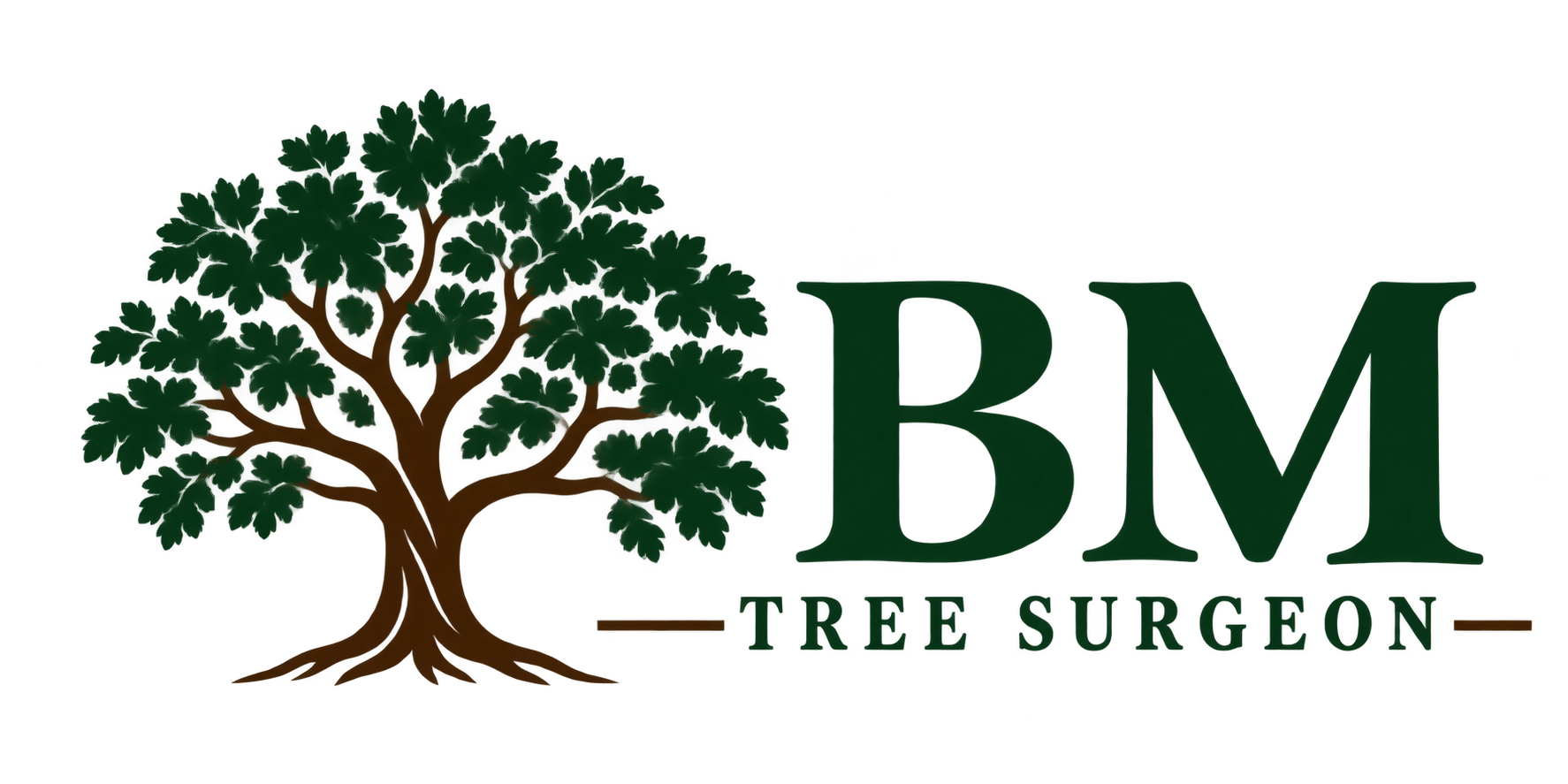 BM Tree Surgeon logo